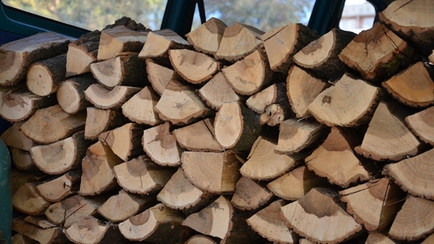 В Дирекция Социално подпомагане обслужваща община Мездра вече има подадени