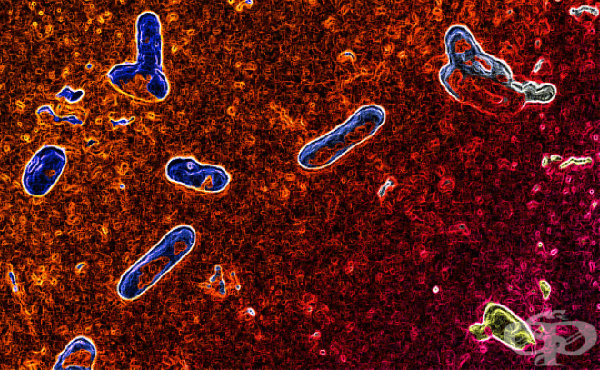 Заболяването от коклюш тази година бележи сериозен ръст като от