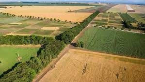 17 години след членството на България в Европейския съюз съдът