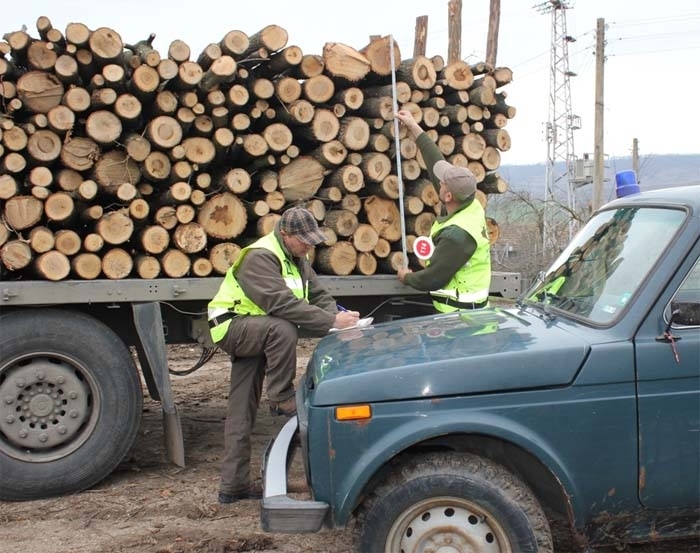 Незаконно добити дърва за огрев открили вчера полицейски и горски