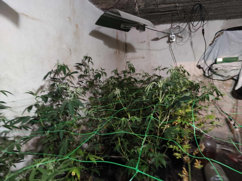 Отново хванаха бивш служител на БАБХ да развива нарколаборатория в