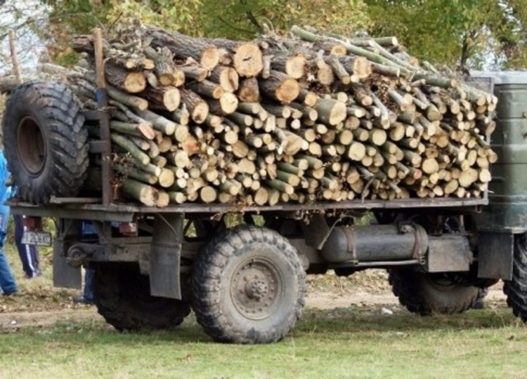 Полицията е засякла камион без номера с нелегални дърва в