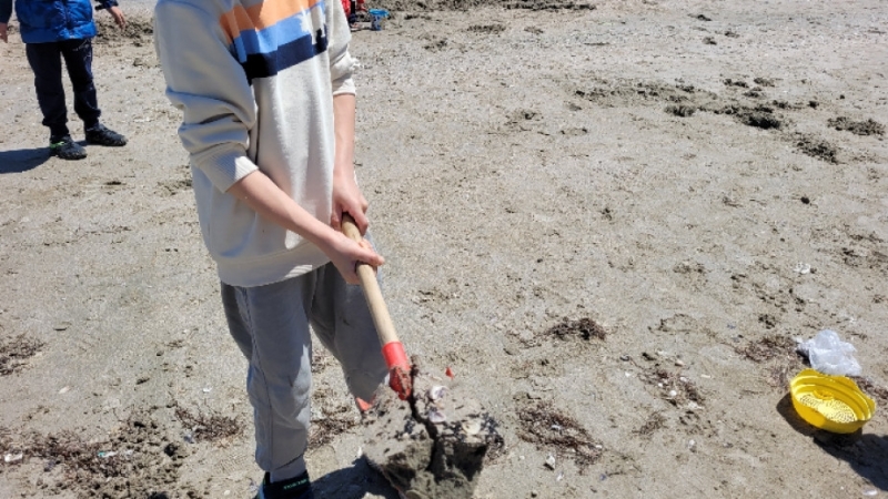 Сигнали за мазутни образувания по плажната ивица в Поморие са получени