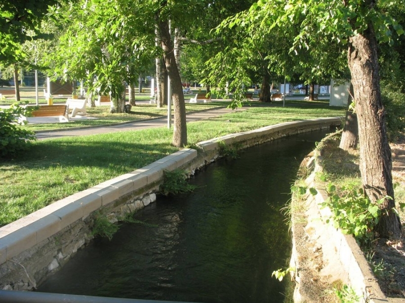 Доброволци чистят боровата горичка над Слънчевата градина в Монтана Акция