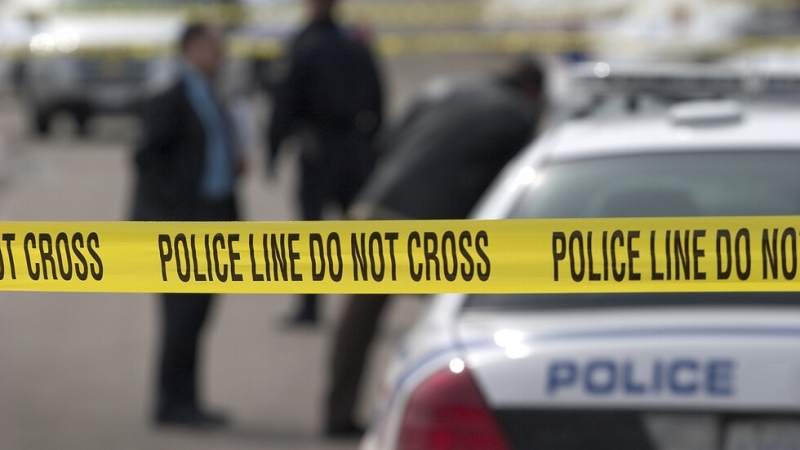 В петък Дер Шпигел съобщи че германските служби осигуряващи сигурността на