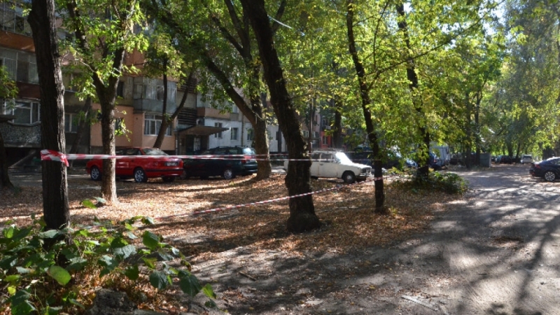 Община Видин използва пространството между блокове 13 и 14 в
