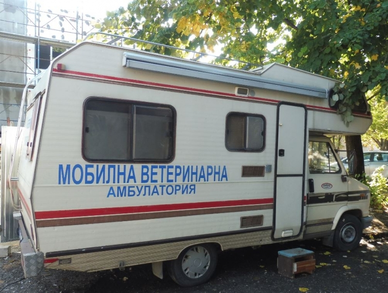 С цел ограничаване популацията на домашни и на безстопанствени котки