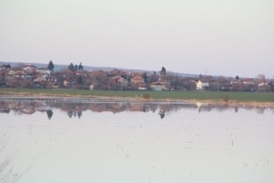 Заместник министърът на земеделието храните и горите Атанас Добрев заедно с