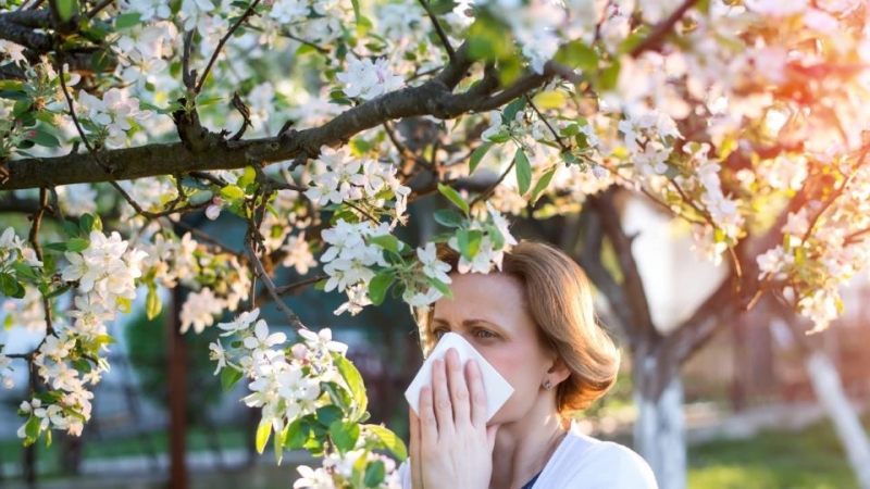 Сезонът на полените е в разгара си Прогнозата и данните