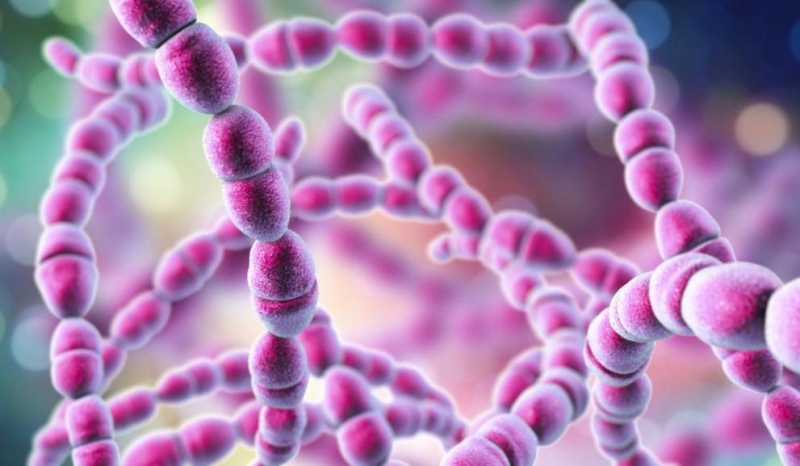 Шест деца са починали в Гърция от стрептококова инфекция съобщават медиите в страната