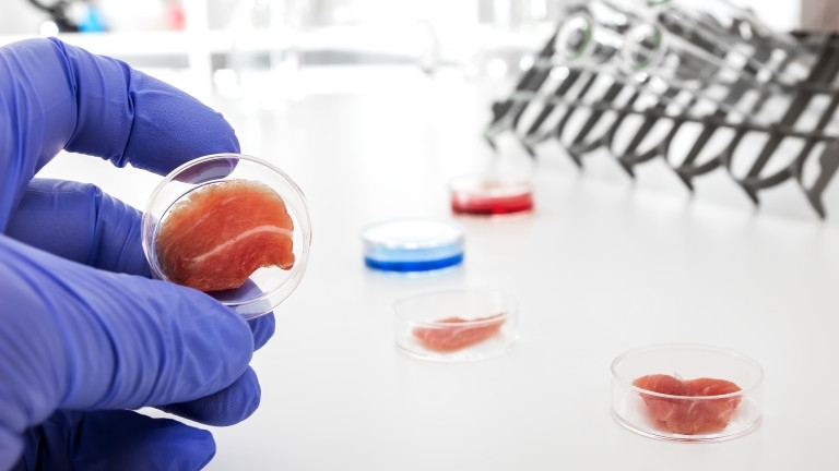 Месото на бъдещето известно още като чисто месо вече е