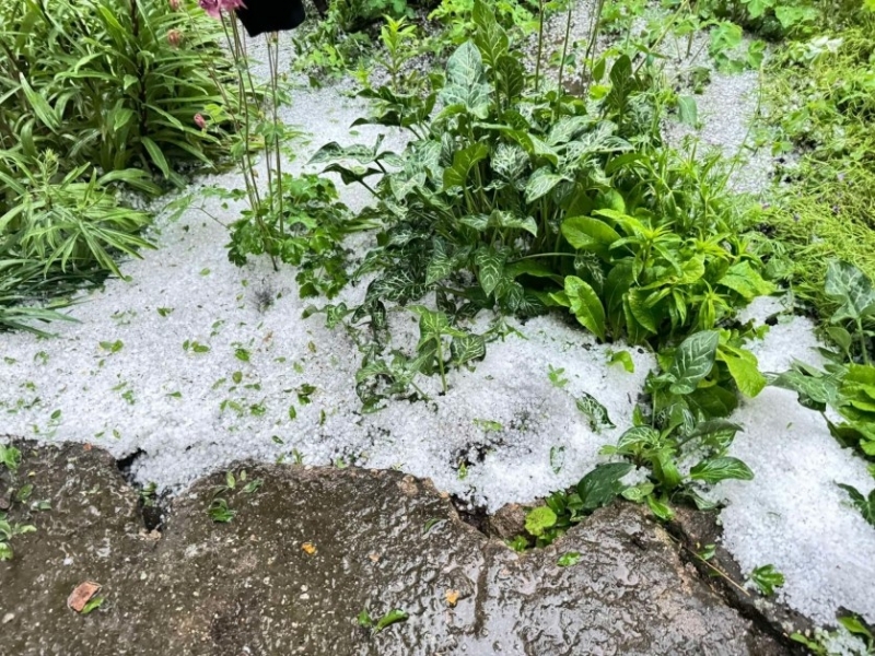 През нощта в по голямата част от страната ще преобладава ясно