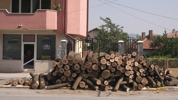 До края на месец октомври в дирекциите Социално подпомагане се
