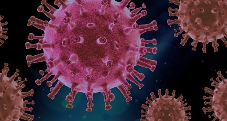5 са регистрираните през последното денонощие заразени с коронавирус сочат