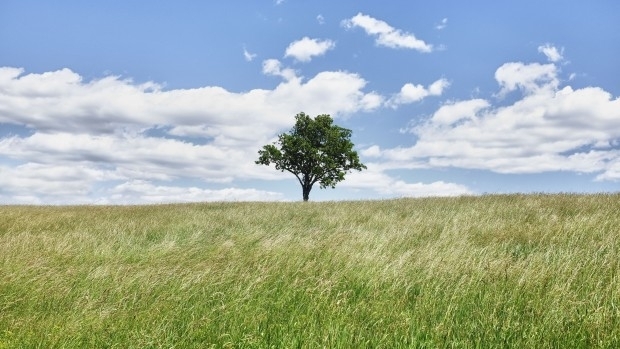 Югозападният вятър ще се усили днес ще бъде поривист след
