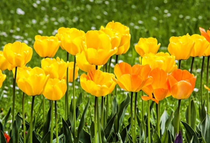 Облачността предимно средна и висока днес ще се увеличава Ще