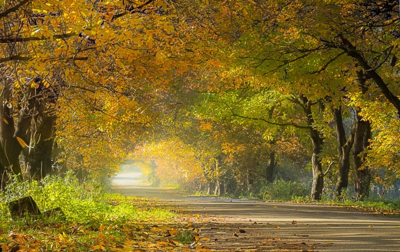 І МЕТЕОРОЛОГИЧНА ОБСТАНОВКА Температурите са в интервала от 6 deg