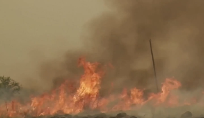 Опустошителен пожар в северната част на Аржентина изпепели повече от