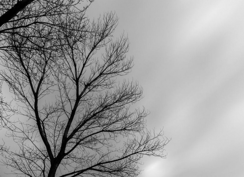 Днес облачността над страната ще е значителна прогнозира дежурният синоптик