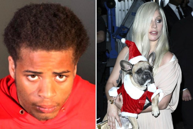 Похитител на кучетата на Лейди Гага, стрелял по неин служител,