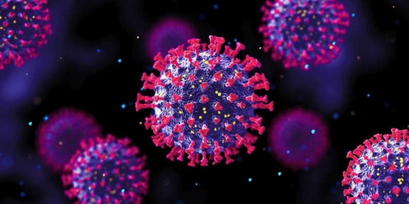 417 са новите случаи на коронавирус у нас  регистрирани през последното
