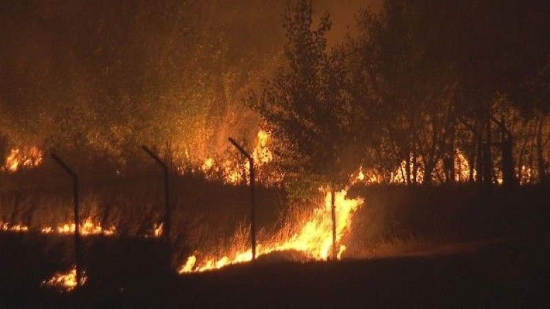 Екстремален индекс за опасност от пожари е обявен за девет области на