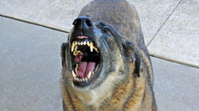 90 годишната баба която беше открита в локва кръв и с