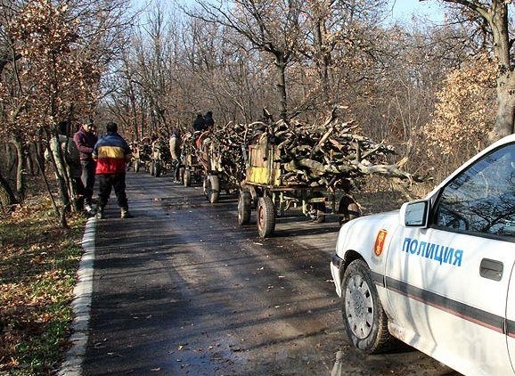 Полицаи са арестували двама за незаконна сеч край Монтана съобщиха