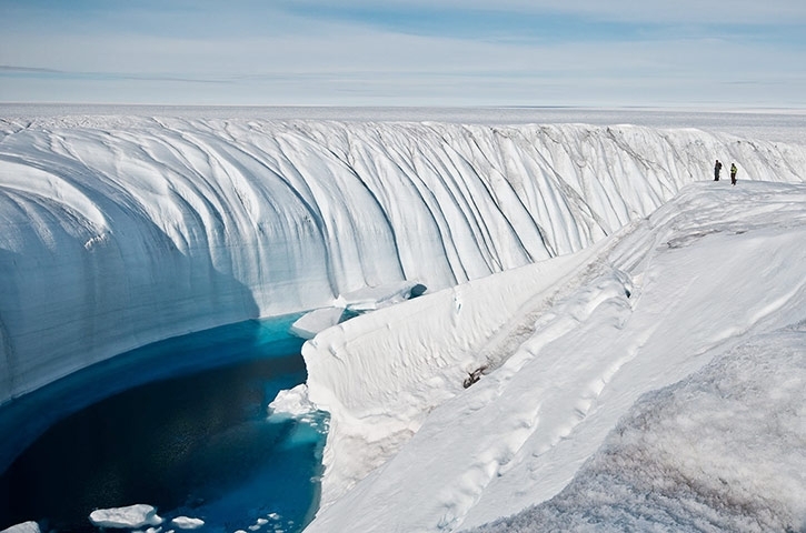 Четири дузини антарктически шелфови ледници са се свили с поне