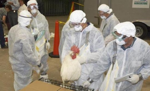 Ново огнище на птичи грип установиха от Агенцията по храните