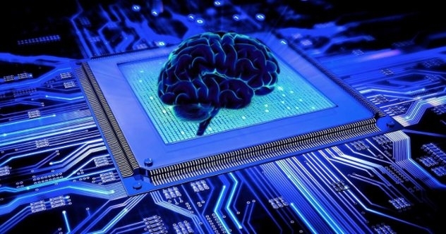 Учените ще изследват дали мозъкът не е квантов компютър В