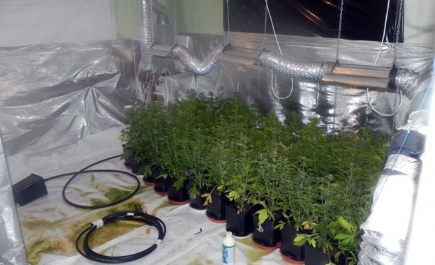 Вчера при проверка в имот в село Козар Белене са