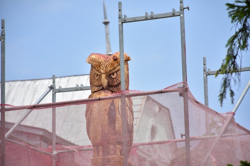 Скулпторът Милен Иванчев започна преобразяването на две изсъхнали дървета намиращи