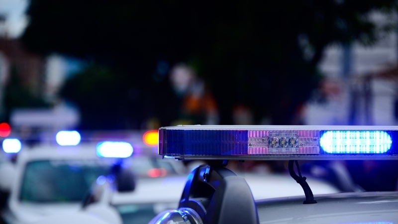 Разкриха организирана престъпна група състояща се от три лица част