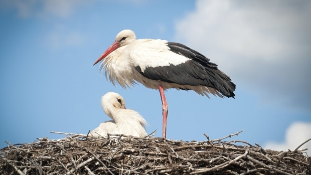 През следващото денонощие облачността над страната ще е променлива по