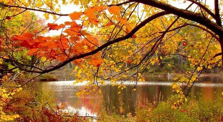 През нощта ще преобладава ясно време Ще духа умерен на