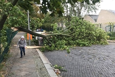 7 души загинаха в Германия след като мощна буря връхлетя