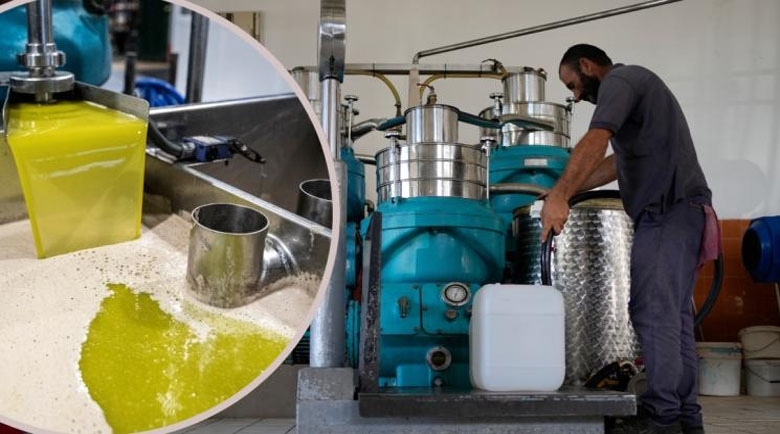 Българи се оказаха в схема за продажба на фалшив зехтин