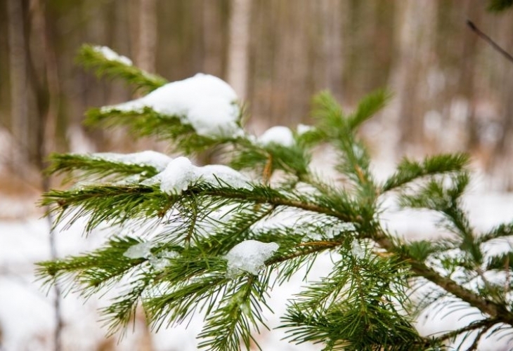 Днес облачността ще е разкъсана на места намаляваща до предимно