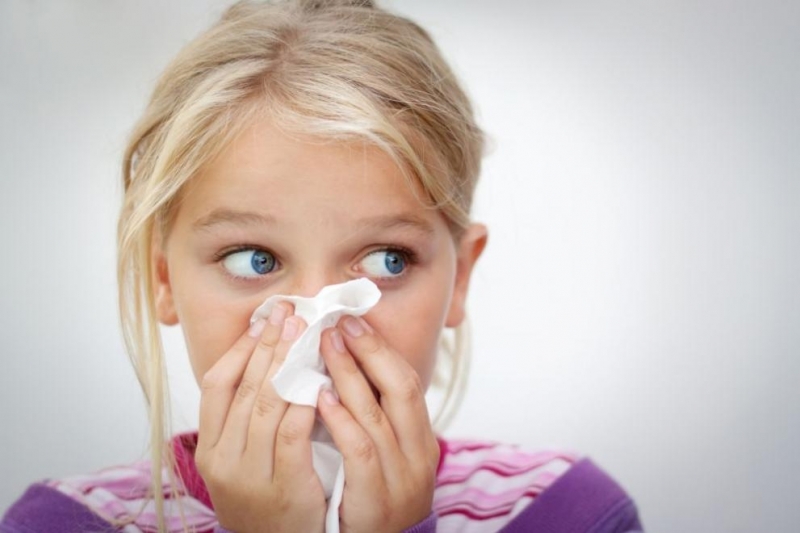 Отменят грипната епидемия в София Кюстендил и Пазарджик Това съобщиха от