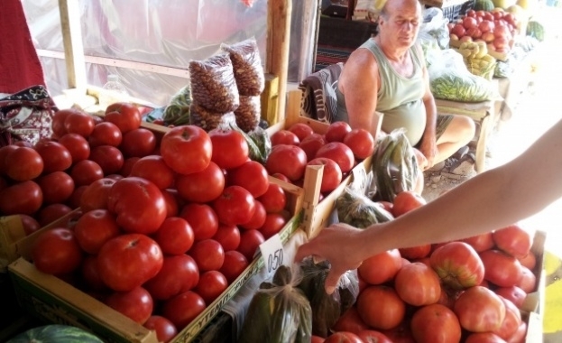 Земеделски производители от Кюстендилско недоволстват от ниските цени на доматите