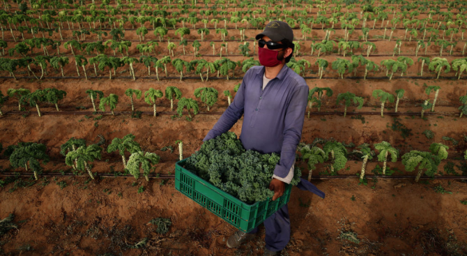 Германия от следващата седмица ще облечи ограниченията за пристигане в