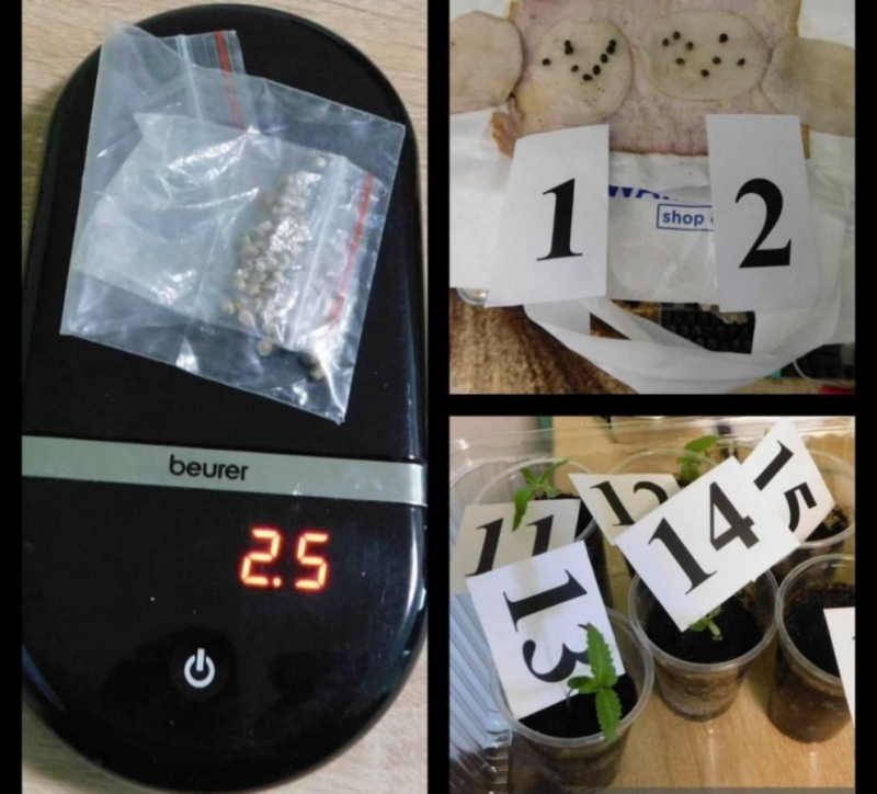 Разбиха нарколаборатория в Силистра При претърсване на частен адрес в областния