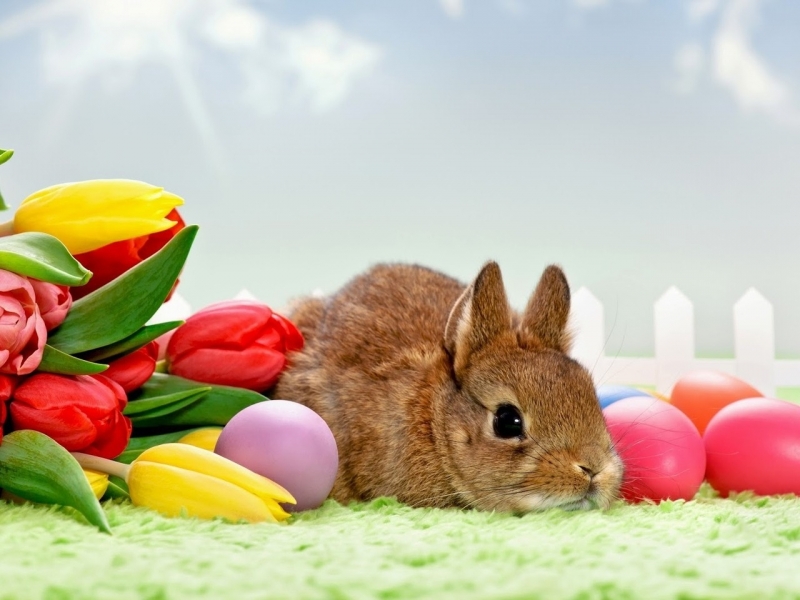 Редица търговци лъжат с великденските намаления и трябва да бъдем