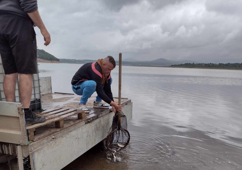 Над един тон малки рибки бяха пуснати днес в язовир